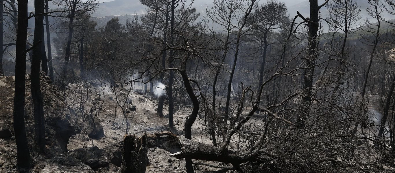 Νέα σοκαριστικά στοιχεία: Τριπλάσιες οι καμένες εκτάσεις στην Ελλάδα σε σχέση με την περίοδο 2008-2020 (βίντεο)